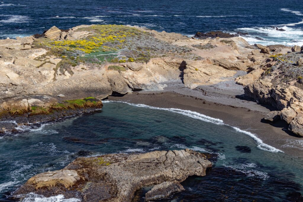 Sea Lion Cove - Point Lobos