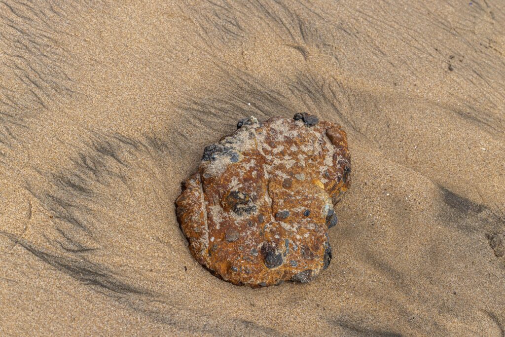 Crystal Cove Seaweed and Rocks Study August 2021